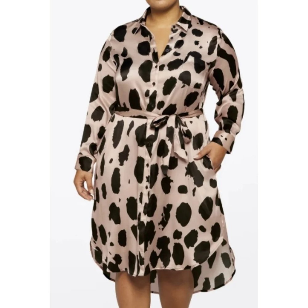 Megan | Renee Leopard Print Silk Dress
